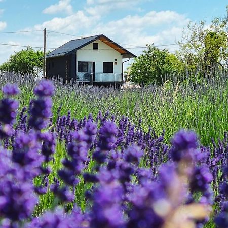 Vacation Home - Nest Kalnik Exterior photo